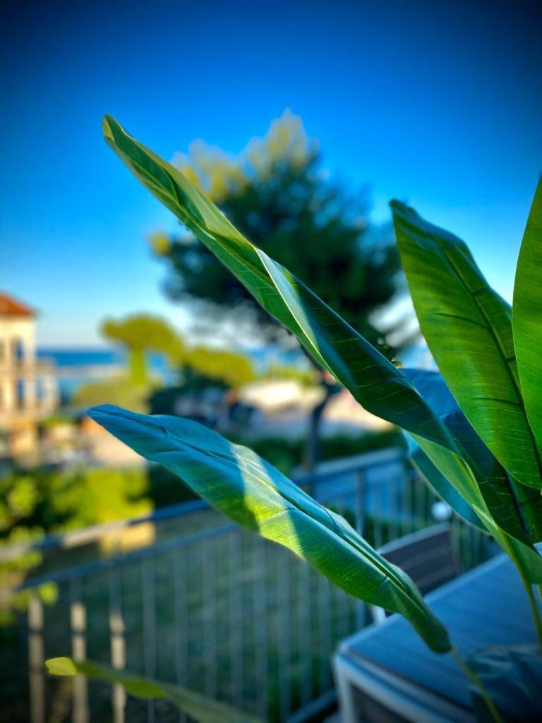 La Marinella Lägenhet Massignano Rum bild